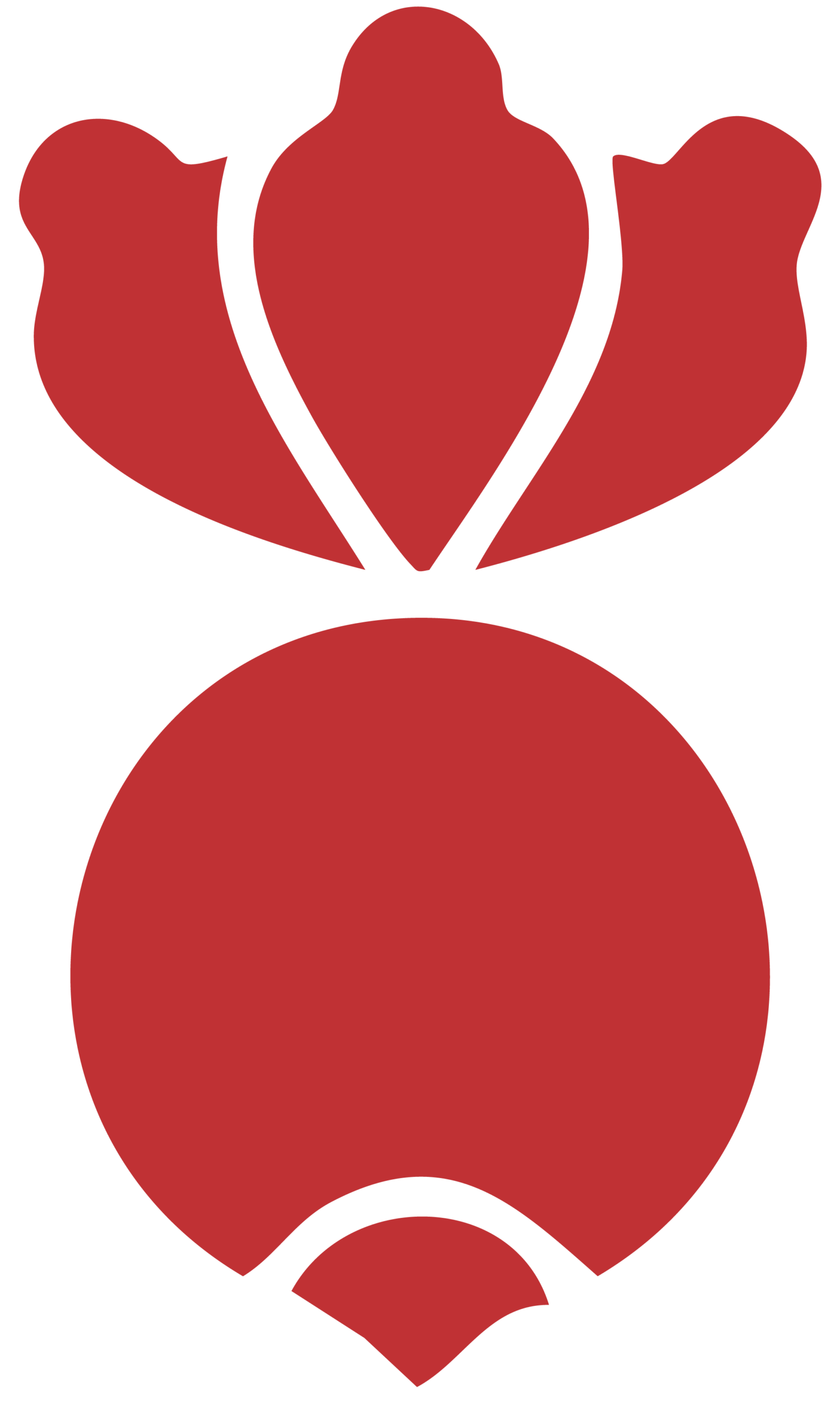 hesselbach_icon_leistung_ruebe