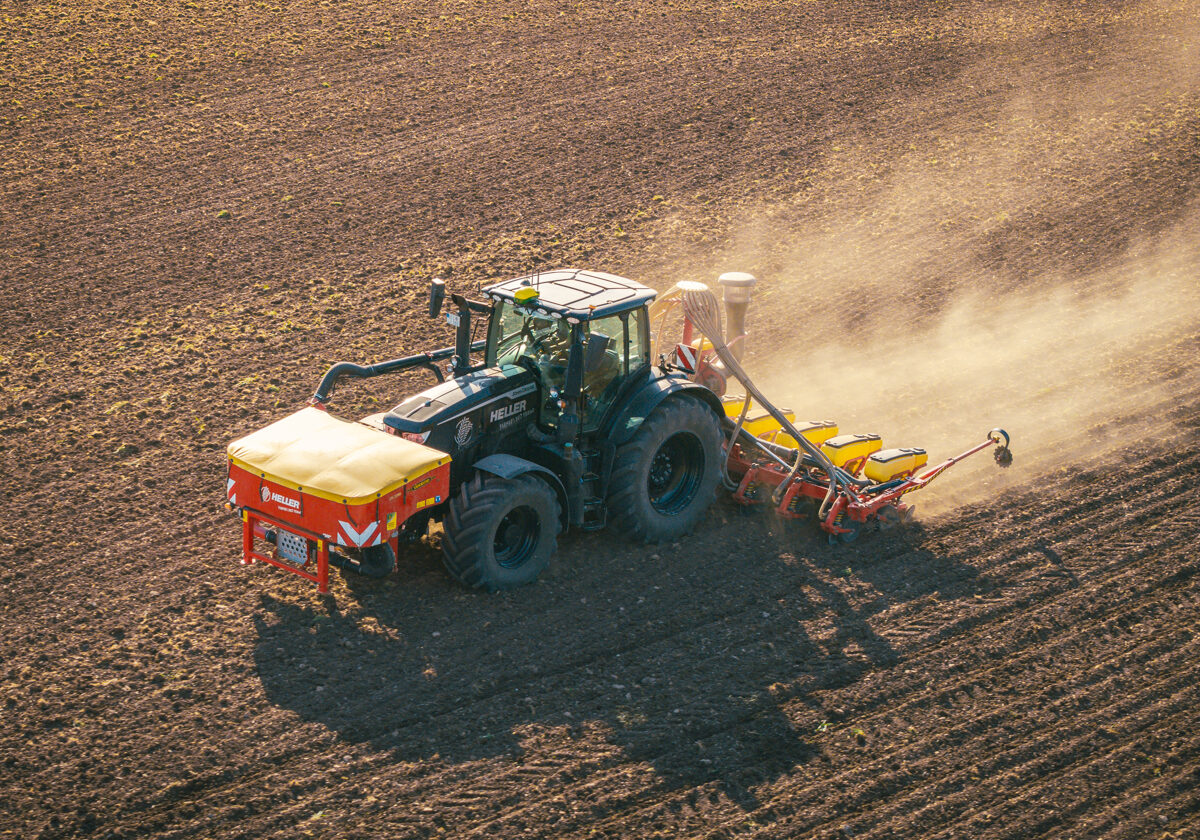 Maislegen mit einer Einzelkorndrille
