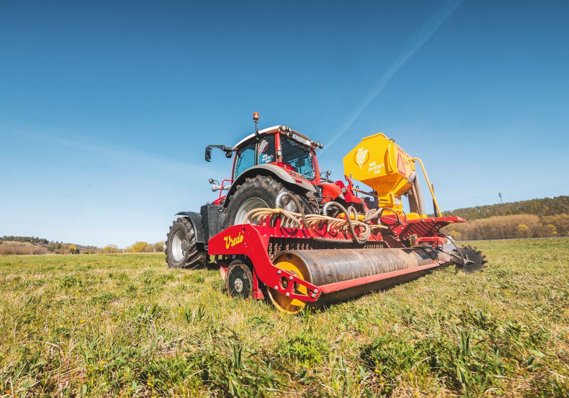 Wiesennachssaat mit Vredo