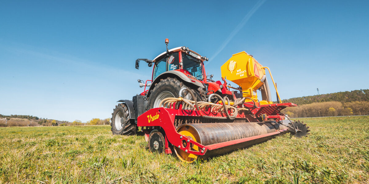 Wiesennachssaat mit Vredo
